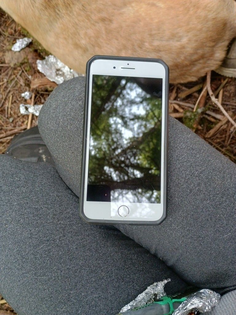 iPhone 8 (Locked) Brand New