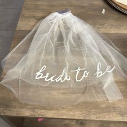Bride To Be Veil 