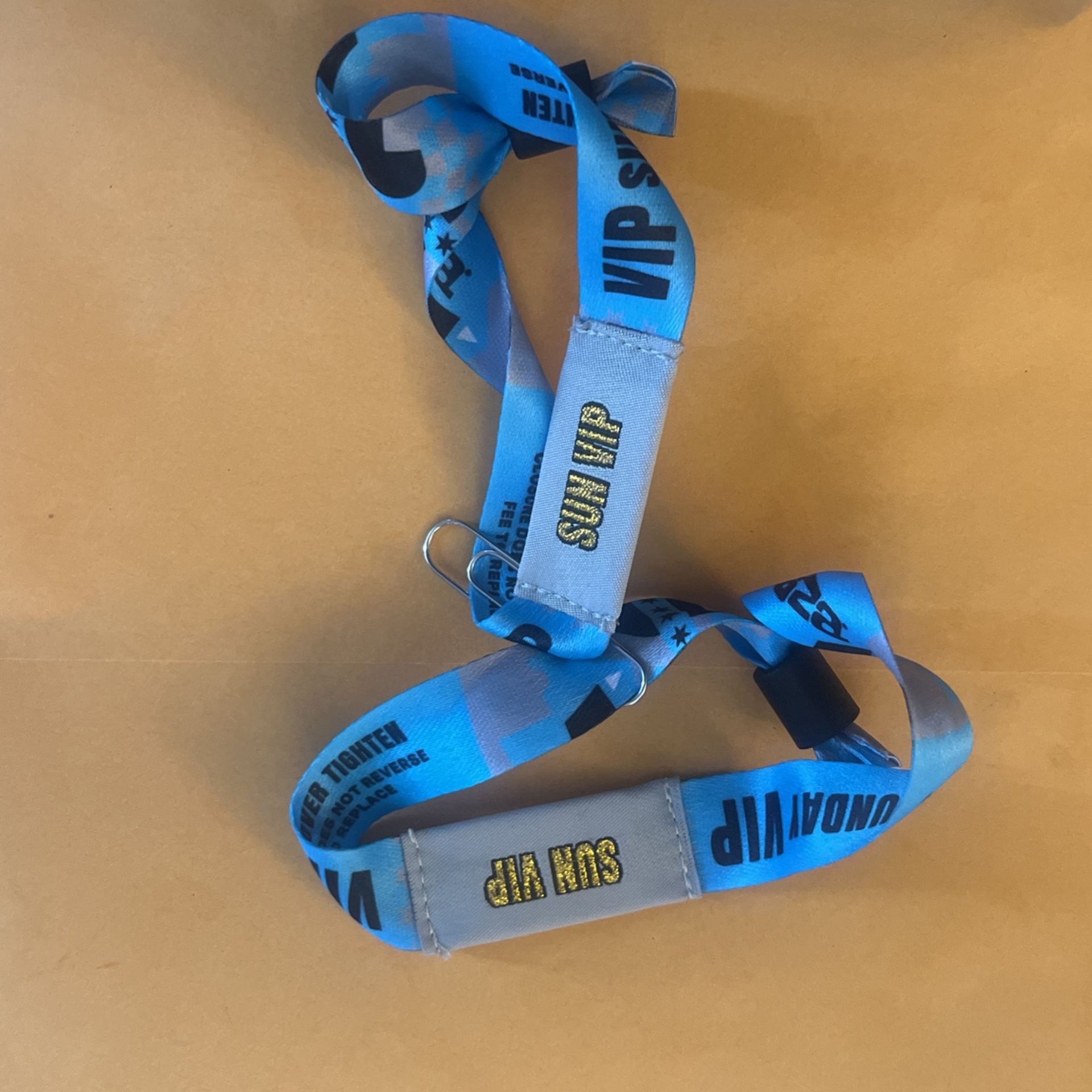 Two VIP Tickets To Sunday Lollaplloza