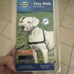 PetSafe Easy Walk In Medium