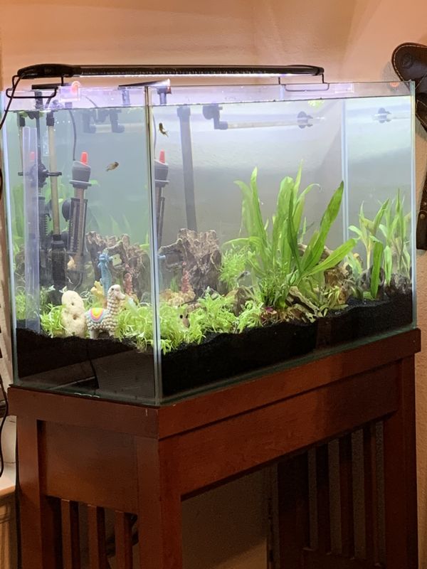 30 gallon aqueon frameless fish tank aquarium for Sale in