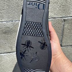 Dior b23