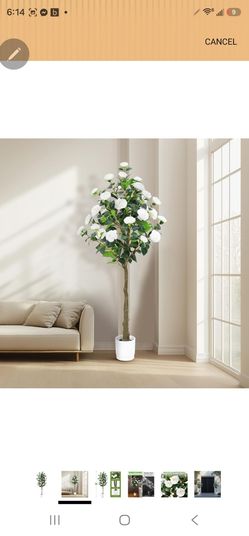 Artificial Camellia Tree 6FT– Faux Plants Indoor, with Easy Assembly, Low Maintenance, Ideal for Both Indoor Decoration and Other