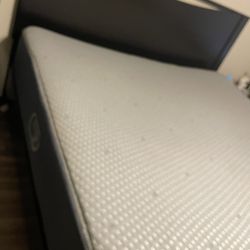 California King Complete Set:  Wood Frame, Box springs and Beautyrest Mattress 