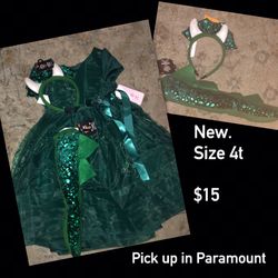Dragon dress costume