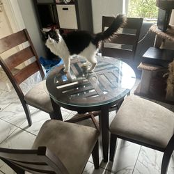 Dining Table And Chairs