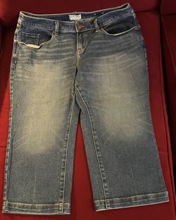 Lane Bryant Women’s Denim SIZE 14