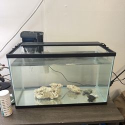 10 Gallon Fish Tank