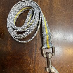 Dog Collar And Leash