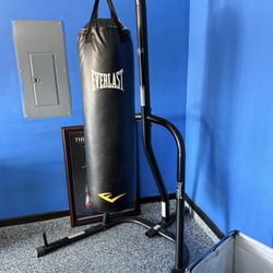 Everlast Punching Bag 