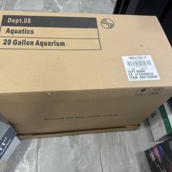 Fish Aquarium 