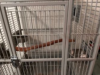 Large parrot cages