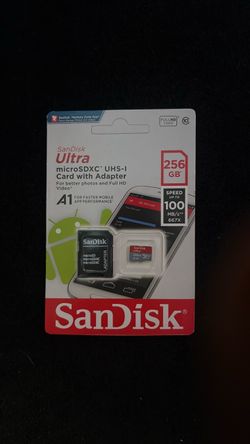 Sandisk 256gb SD card