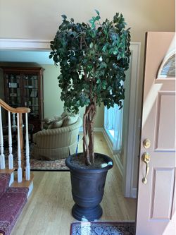 Fake Tree and other plants