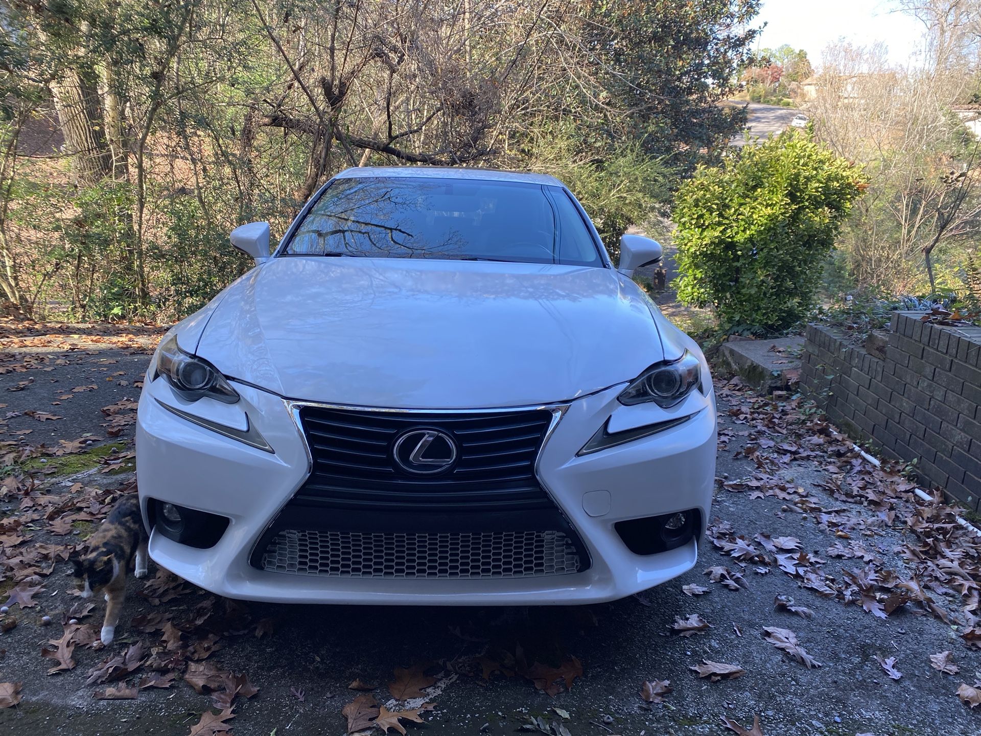 2015 Lexus IS 250