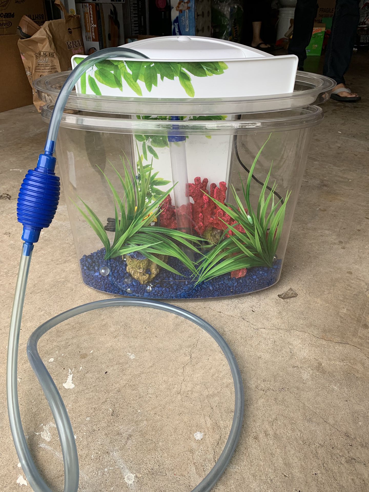 Fluval View Aquarium 4 gallon Fish Tank with pebbles plants