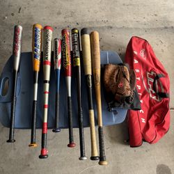 Junior Bats and 12 1/2” Glove With Carry Bag