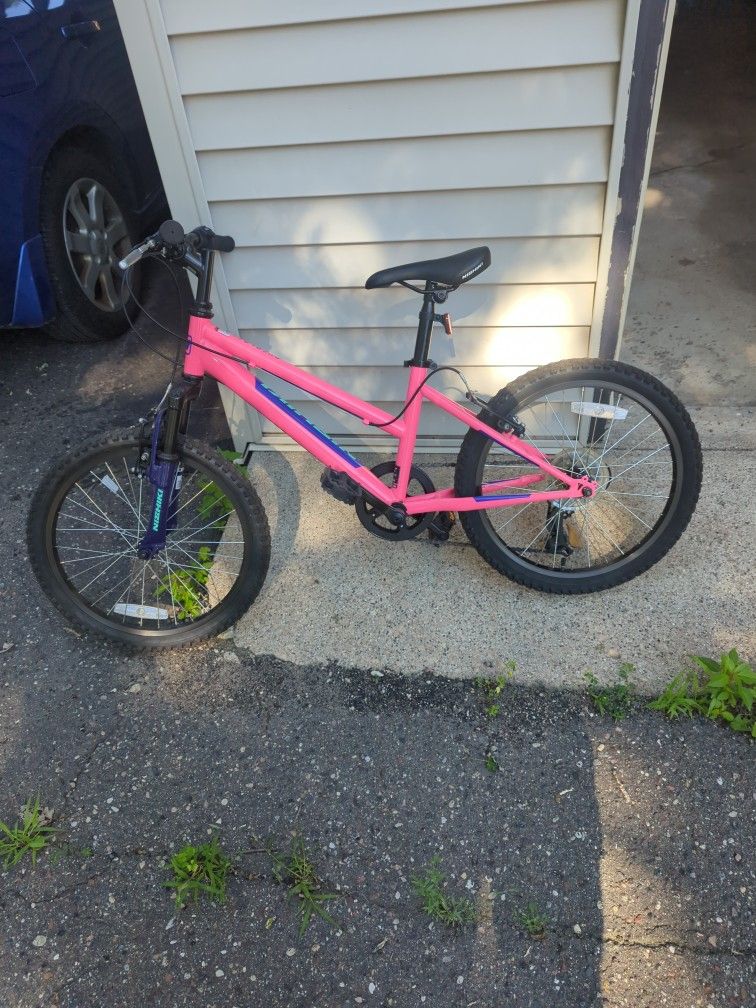 Nishiki Girl Bike