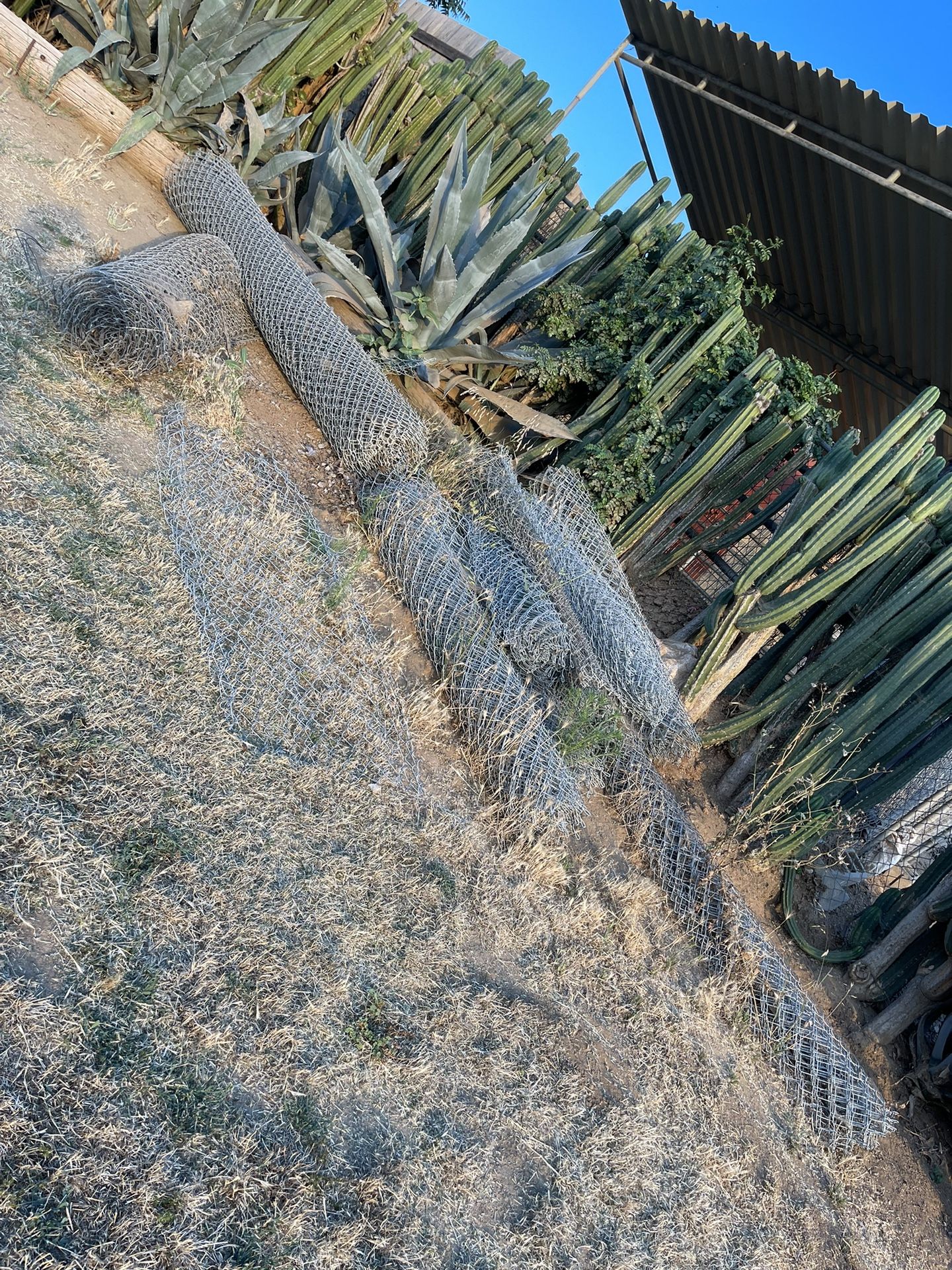 Chainlink Fence