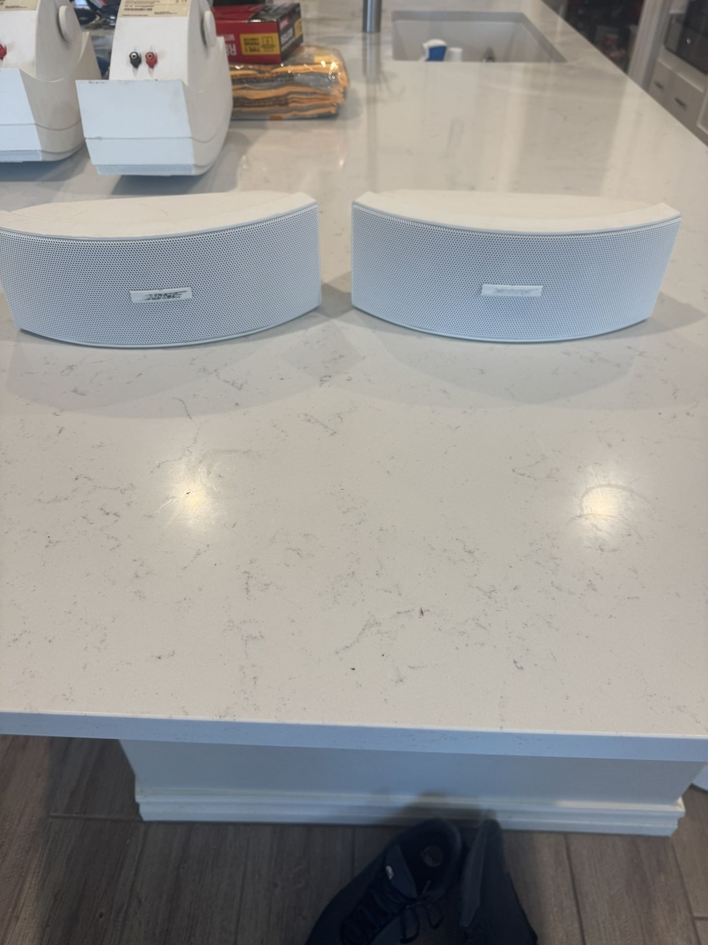 BOSE Environmental 141 Outdoor Speakers