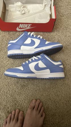 Nike Dunk lows “Polar”