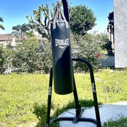 Punching Bag and Stand