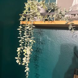 Faux plant PICK UP ONLY