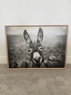 Donkey Framed Photo