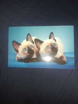 Vintage Post Cards