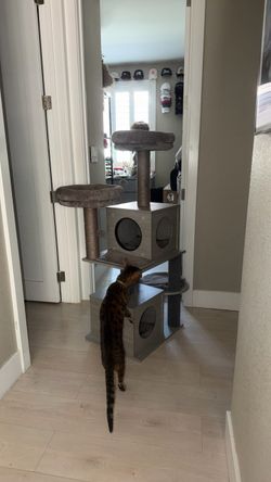 Cat tree