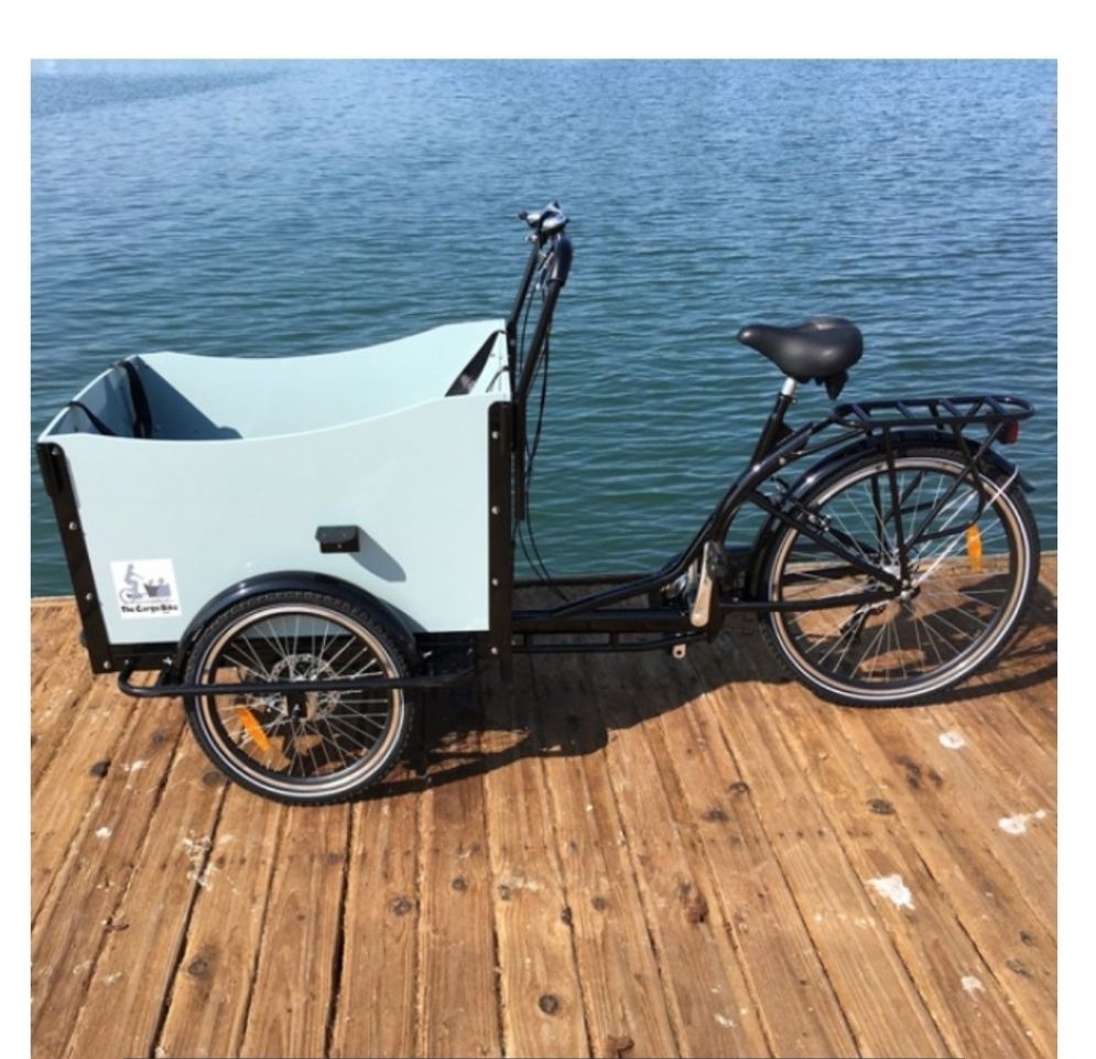 Cargo Box Bike Bakfiet Bicycle Family Kids Trailer Beach Park Electric