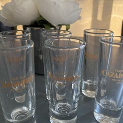 SHOT GLASSES X6