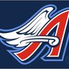 Angels Fan