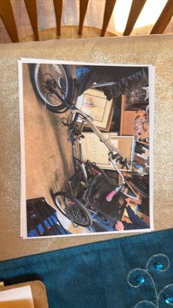 3 wheel electric bike