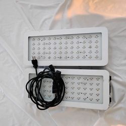 Missyee LED GROW LIGHTS 900W (2)