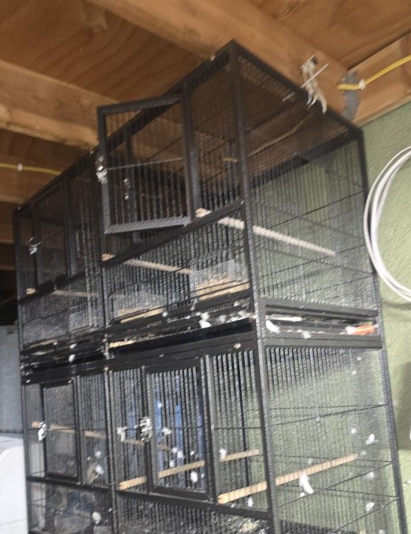 4 Jaulas De Meta En 2.. Metal Cages 4 In 2 Come W Divider