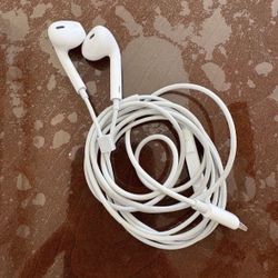 Apple Ear Pods for iPhone 14