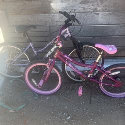 2 Kids Bike