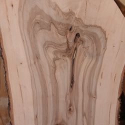 Hard Wood Slabs And More 