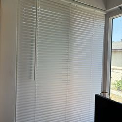 Window Blinds