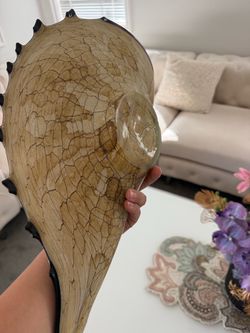 Decor $20