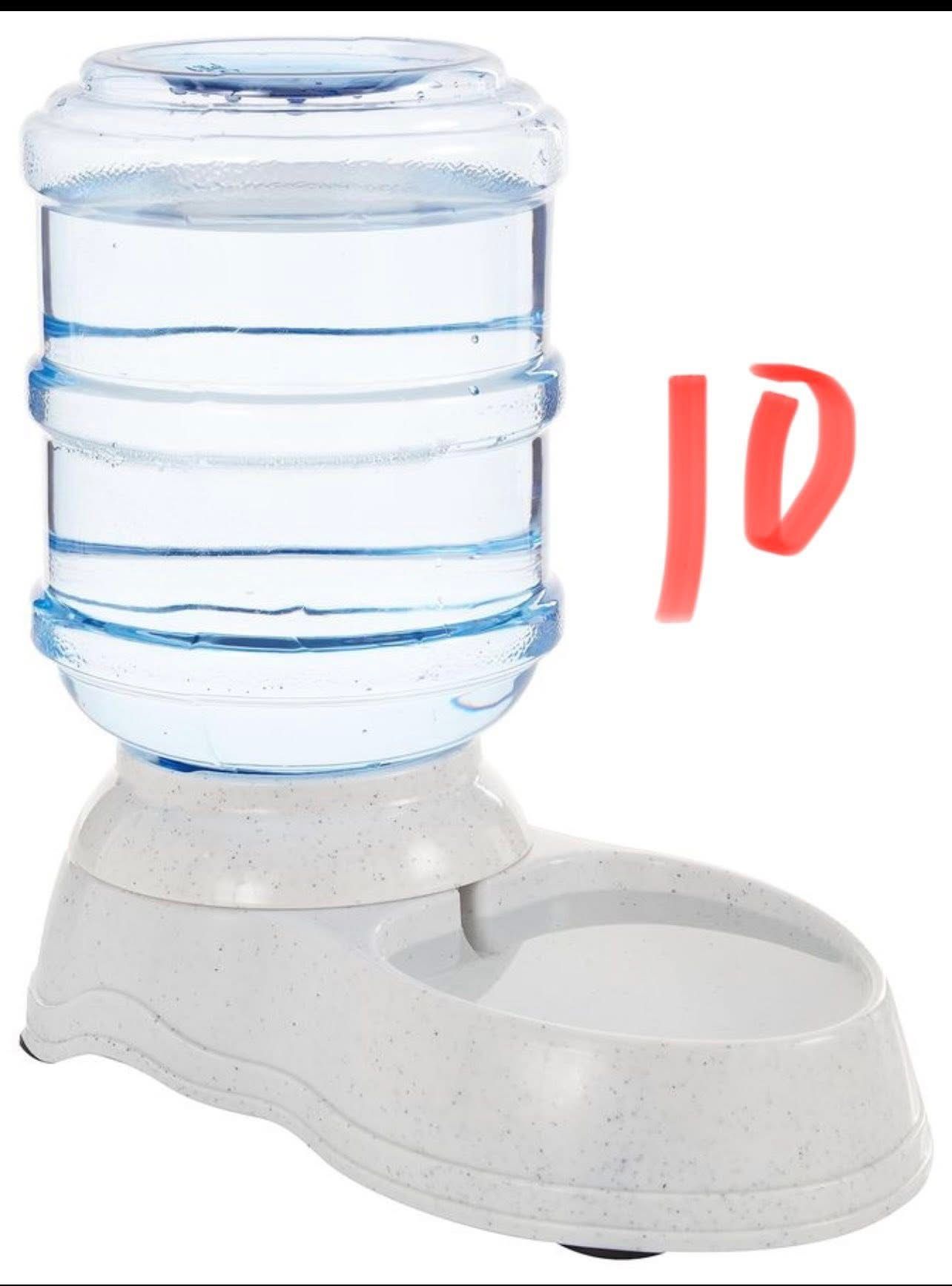 Animal Water Bowl