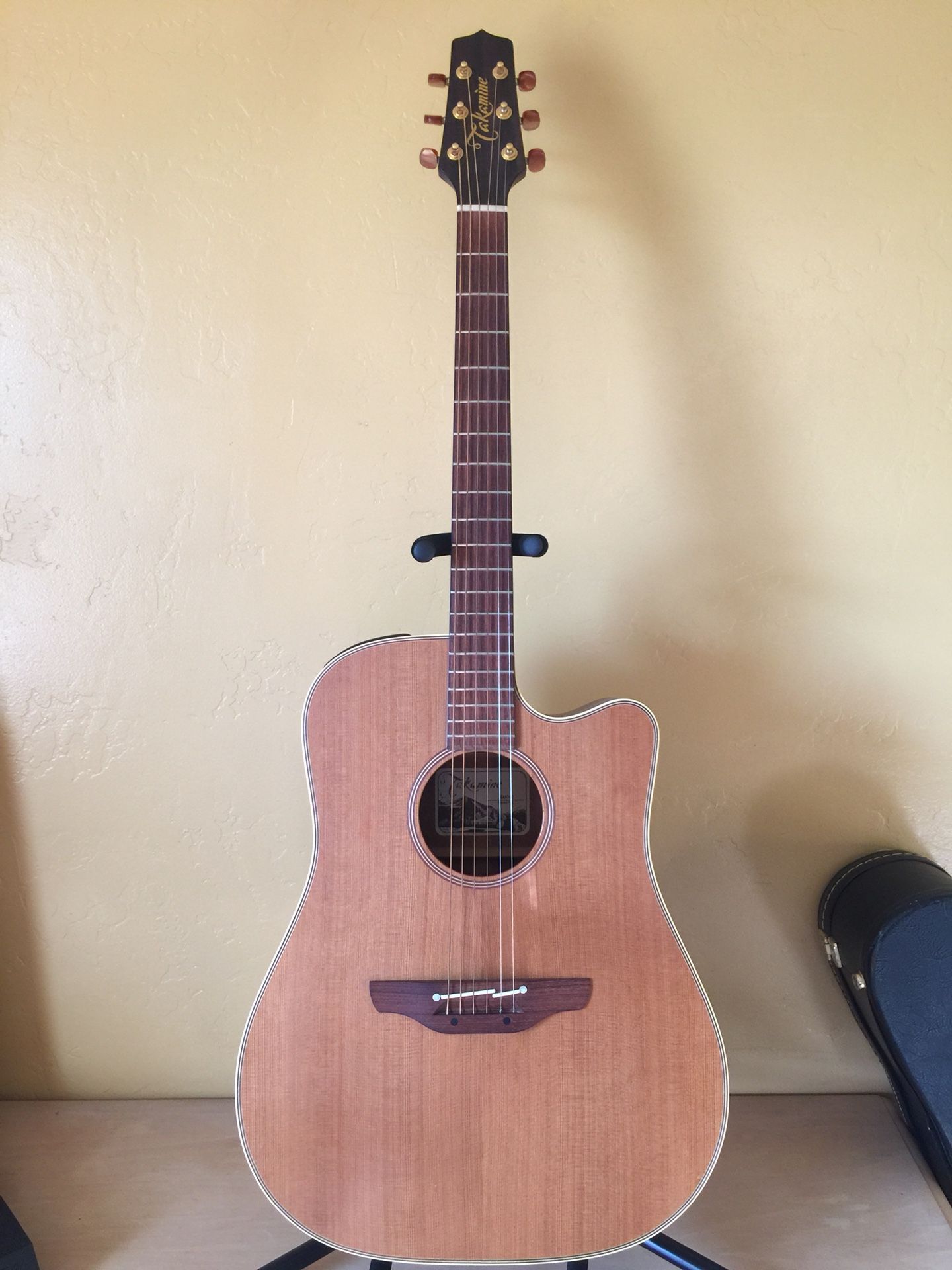 Ean10c 2024 takamine price