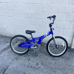 20 inch Schwinn Boys Bike Ready to Ride