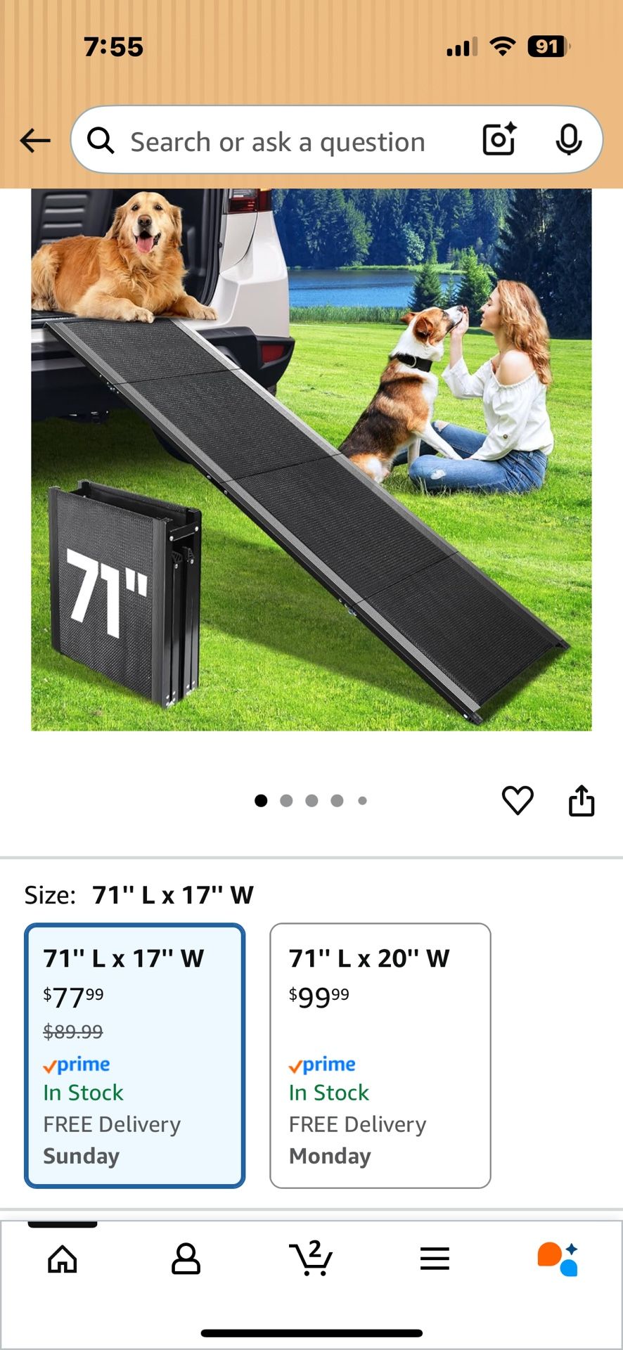 Dog Ramp