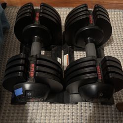 Antler Adjustable Weights 