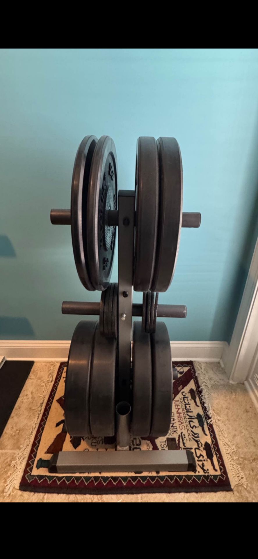 Like new set of 260 Lbs Rubber Olympic Weights Plates