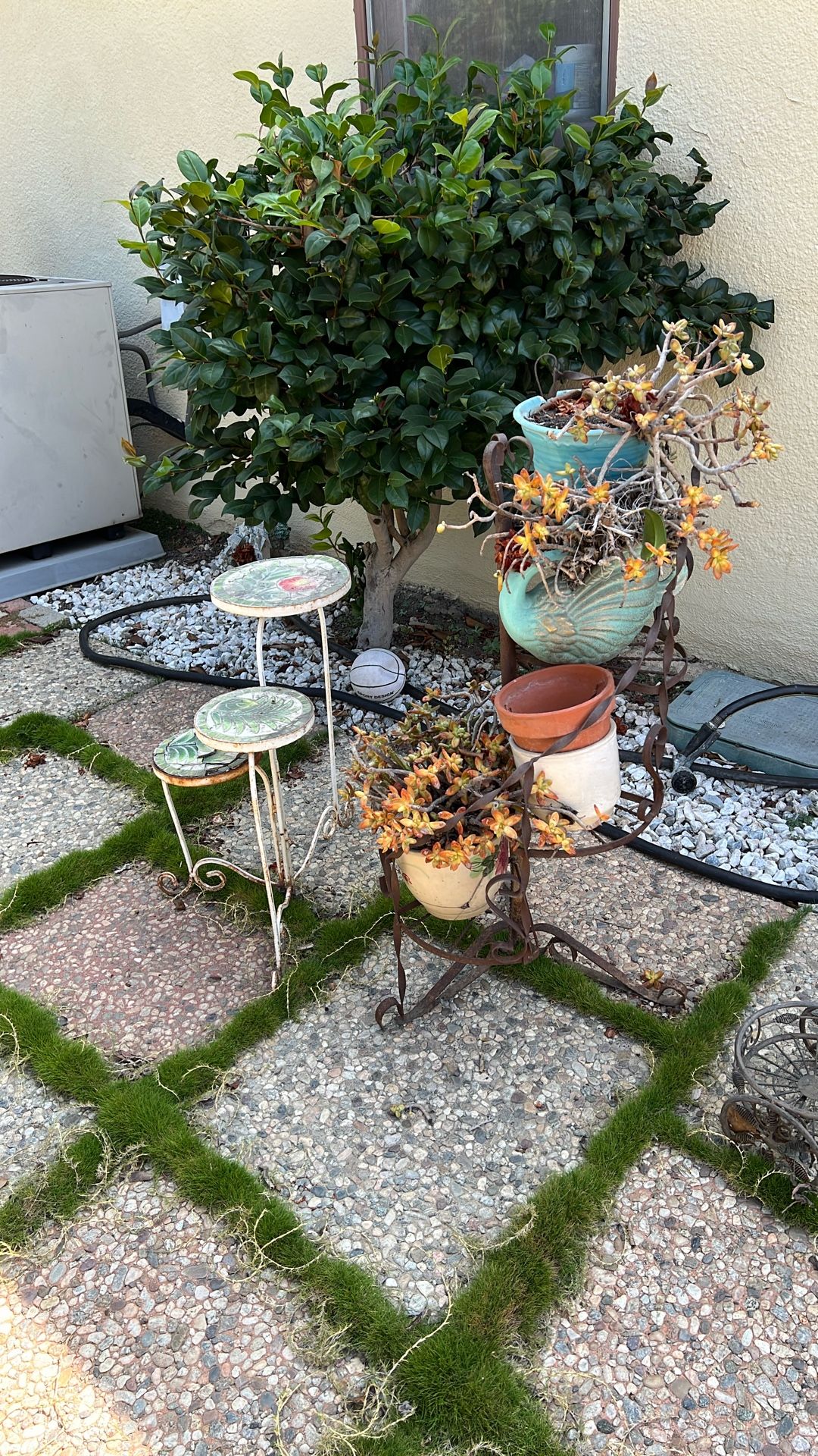 Plant Holders