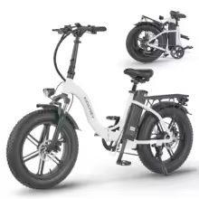 E Bike 1000W Motor 48V20AH Battery Front Fork Suspension Electric Bicycle 20-Inch Fat Tire All Terrain Folding Electric Bike