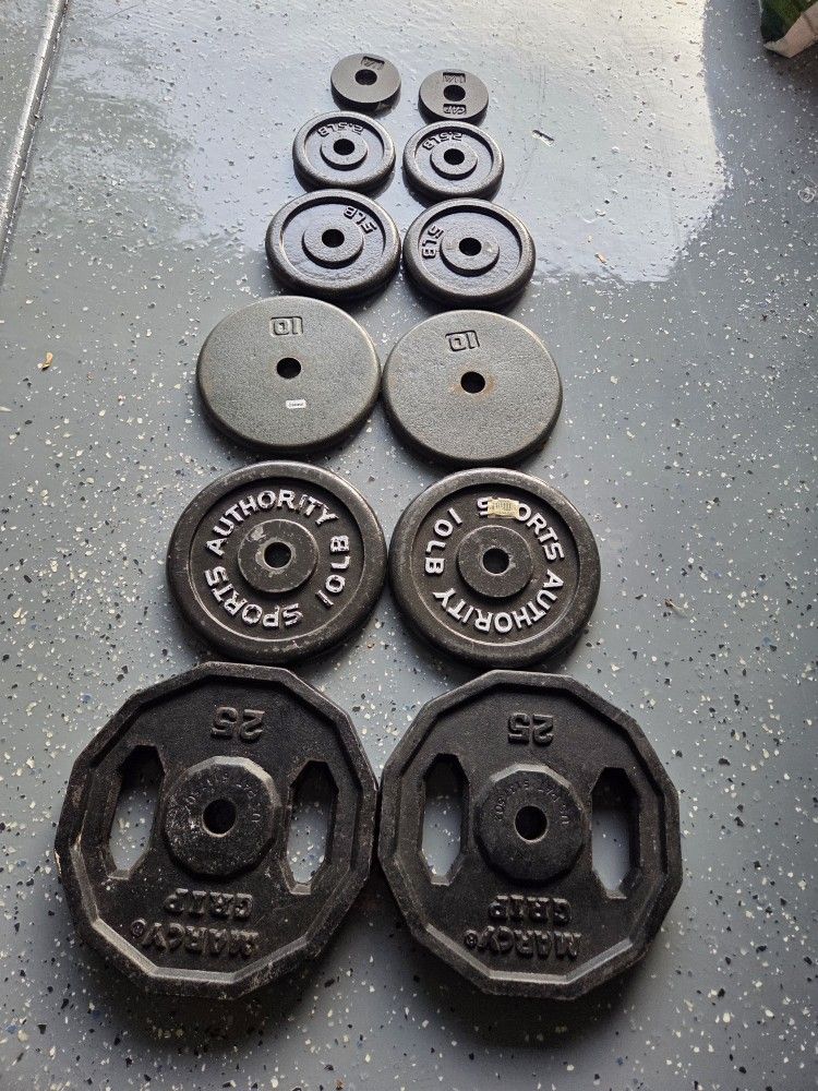 Weights Plates Barbell Weightlift Workout Excercise Bench Press Curl Shoulder Bar Metal Plates